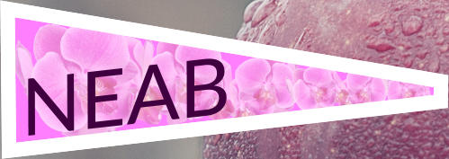 NEAB